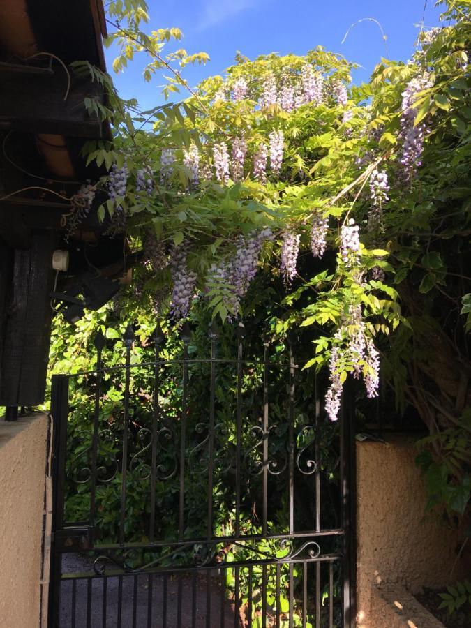 Villa Lucie Valbonne Bagian luar foto